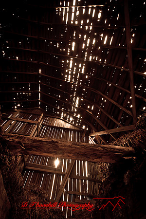 assorted_images-2011-49-nas