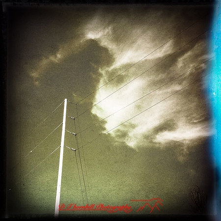 iPhones-2014-016