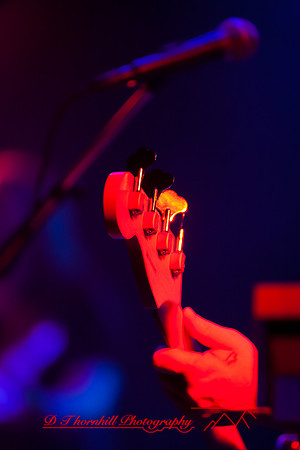 FTM-random-band-dec-2015-029