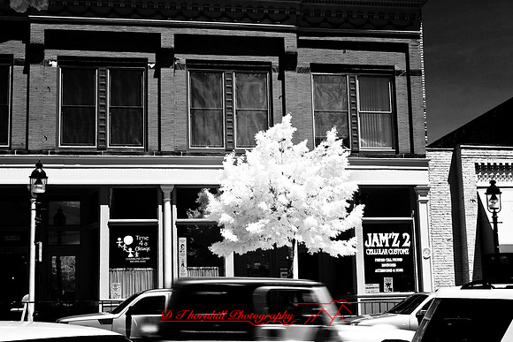bay_city-infrared-2008_30