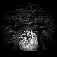 New Mexico-2017-color-075