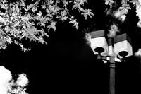 infrared-2009-bay-city_03.jpg