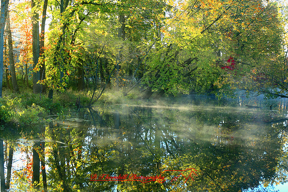 shiawasse-oct-2006_002