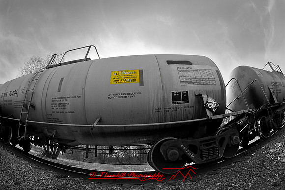 assorted-images-2010_012