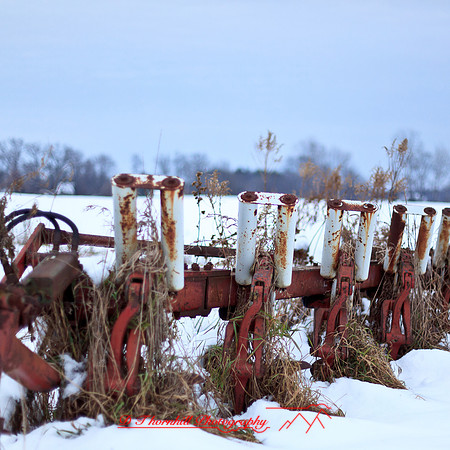 assorted_images-2012-146