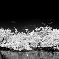 florida-2014-infrared-001