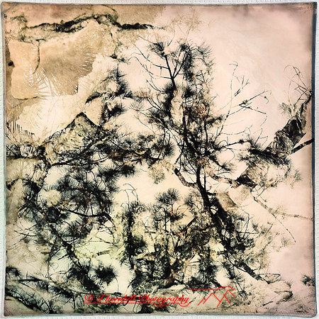 florida-march-2015-iphone-multi_exposure-012