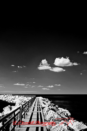 infrared-2010-random_023-nik