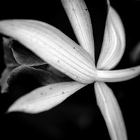 florida-march-2016-045