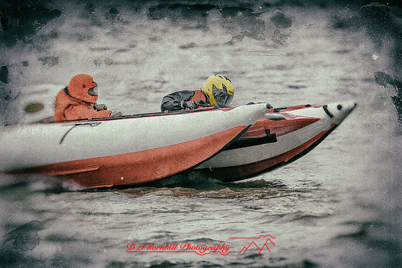 Bay City Grand Prix 2017-220-nas