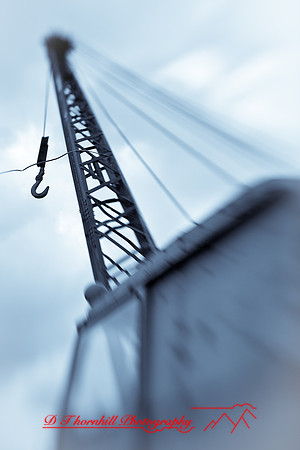 assorted_images-2009_038.jpg