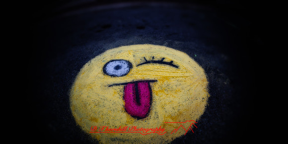 bay city chalk walk 2019-012-n-l-as