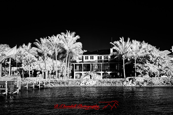 FL-March 2018-057_DxO