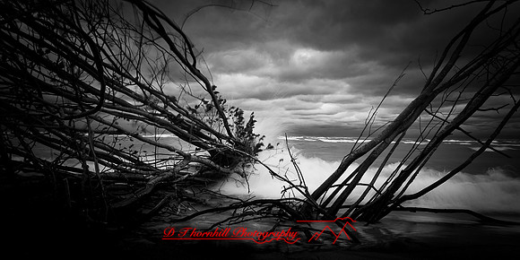 tawas state park - 2021 - 001