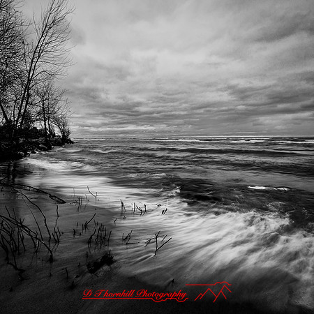 tawas state park - 2021 - 003-NIK
