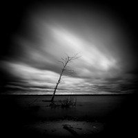 tawas state park - 2021 - 007