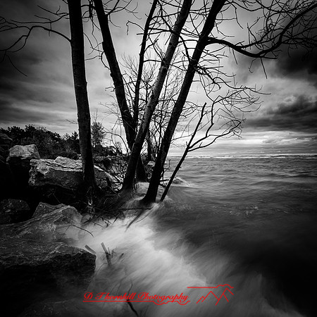 tawas state park - 2021 - 004
