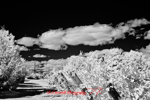 infrared-galesburg_il-2011-38