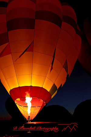 midland-balloon-2011-52