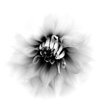 nature-images_2012-048