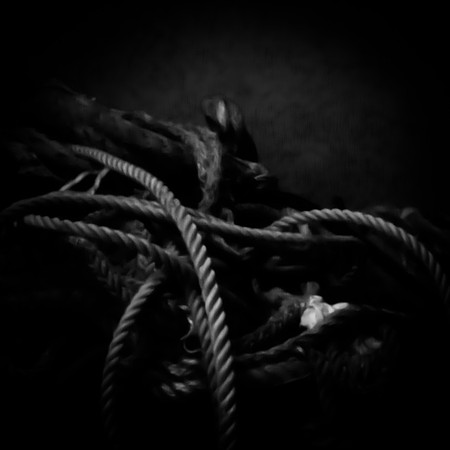 florida - pinhole - 2022 - 019