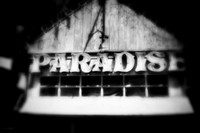 florida - pinhole - 2022 - 017-nik-ps-ai