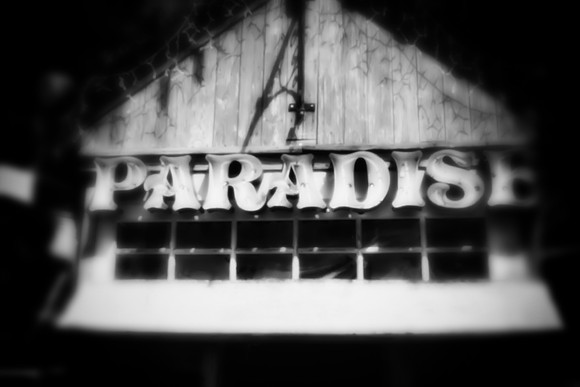 florida - pinhole - 2022 - 017-nik-ps-ai
