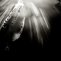 shadow-light-project-river-ice-2014-020-nas