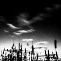 shadow-light-project-bay-city-state-park-2014-012-nas