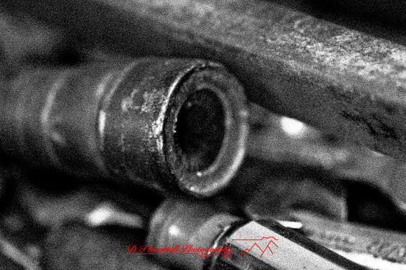 assorted_images-2011-187