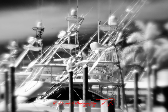 florida-2010-infrared-images_02