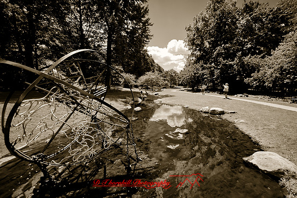 dow-gardens-2010_06-nik