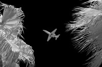 florida-infrared-images-2011-16-nas