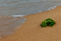 tawas-state-park-2011-07-nas