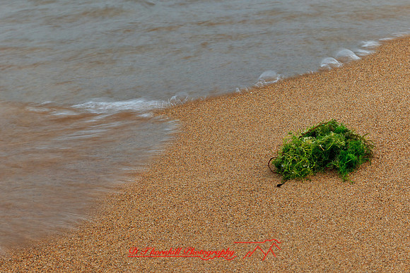 tawas-state-park-2011-07-nas