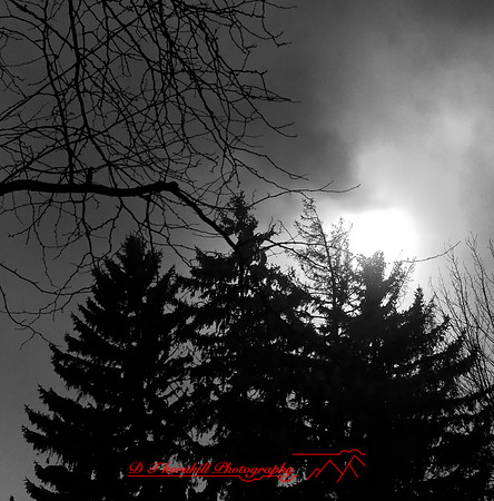 infrared_feb-2008_05
