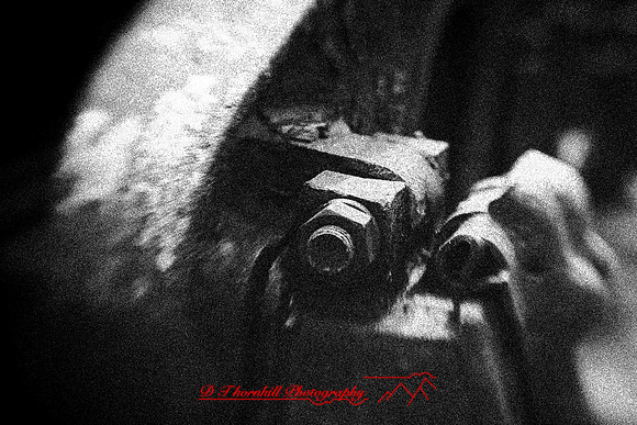 owosso_train-fest-2009_18-nik.jpg