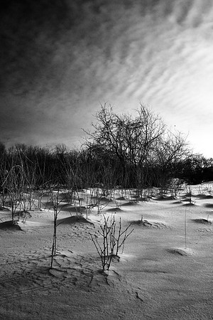 shiawassee_infrared_feb-2008_02