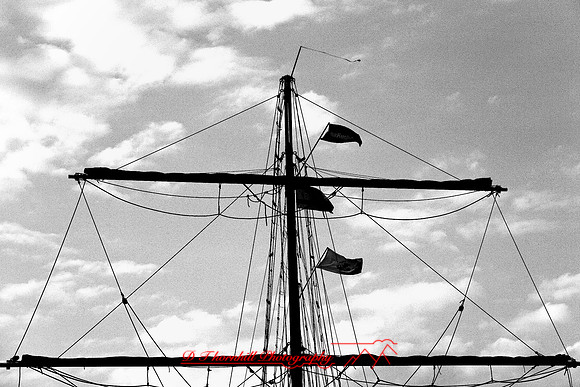 tall-ships_2006_041