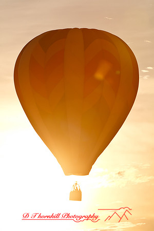 midland-balloon-2010_08-nik