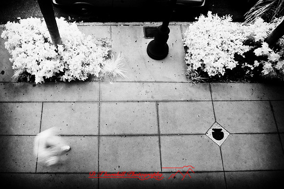 florida-2008-people-infrared_11-nik.jpg