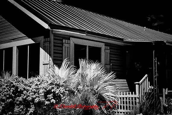 florida - 2020 - 024-nik-ps