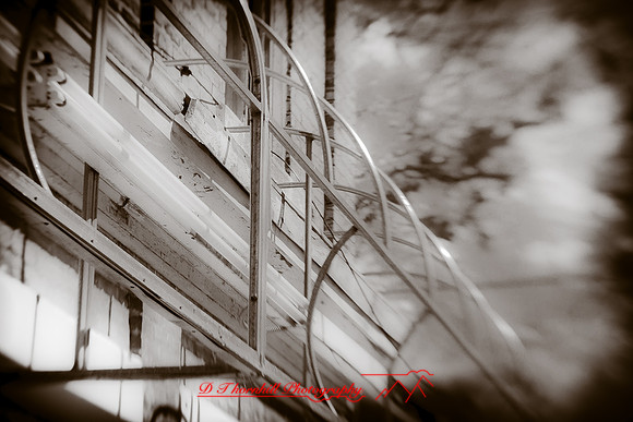 infrared-2010-random_014
