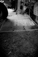 assorted_images-2011-42
