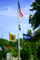 assorted-images-2006_041