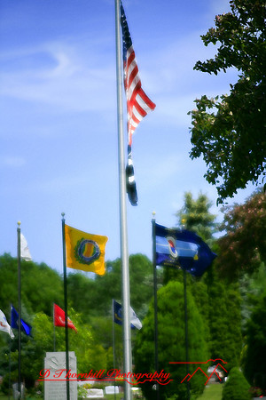 assorted-images-2006_041