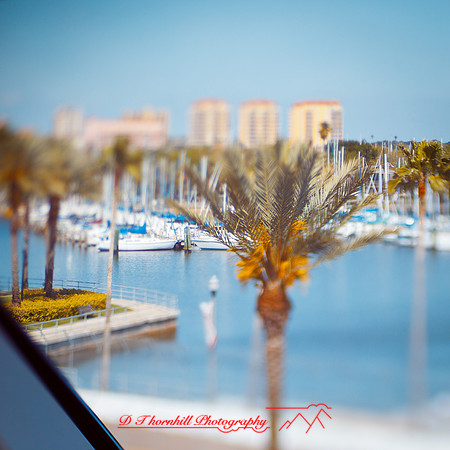 florida-2013-images036