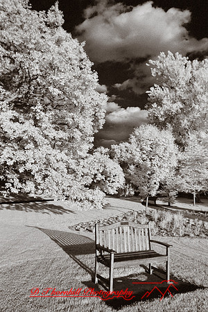 dow-gardens-infrared-2011-29-nas