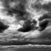florida - 2022 - spring - 073-nik-ps