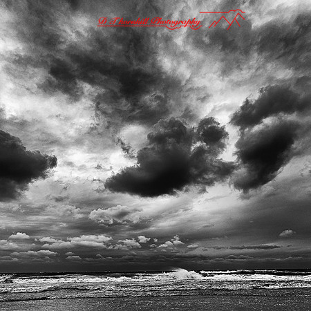 florida - 2022 - spring - 073-nik-ps